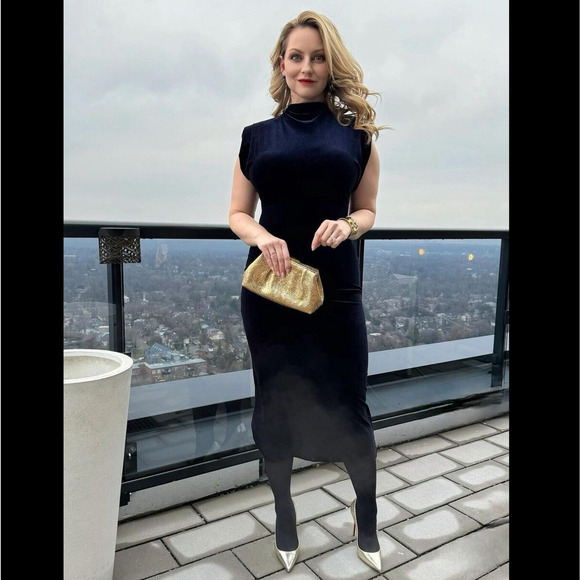 RARE!!! ZARA BLOGGER FAVE! High Collar Midi Dress NWT - Picture 8 of 16